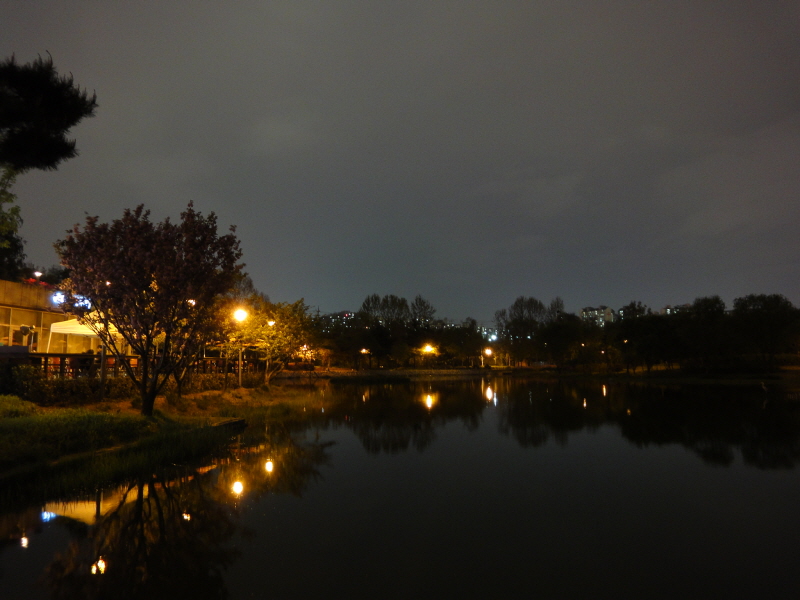 [DSC-WX1] 047.jpg